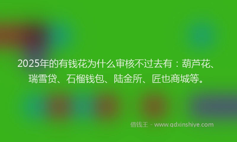 2025年的有钱花为什么审核不过去有：葫芦花、瑞雪贷、石榴钱包、陆金所、匠也商城等。