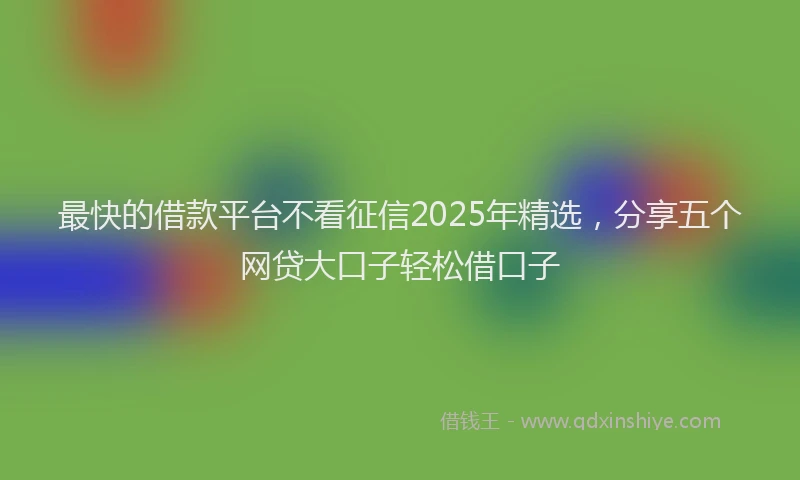 最快的借款平台不看征信2025年精选，分享五个网贷大口子轻松借口子