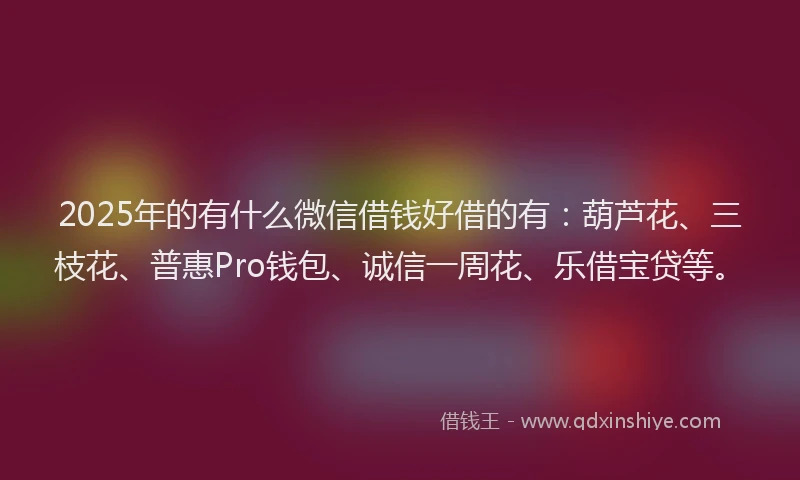 2025年的有什么微信借钱好借的有：葫芦花、三枝花、普惠Pro钱包、诚信一周花、乐借宝贷等。