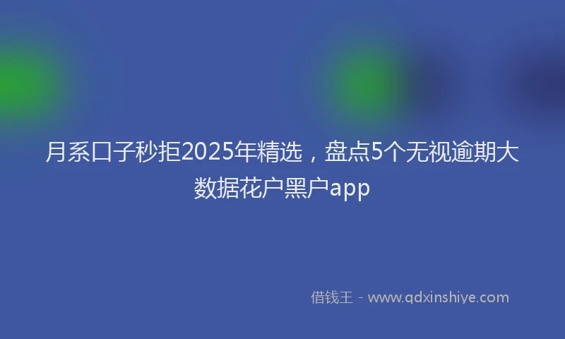 月系口子秒拒2025年精选，盘点5个无视逾期大数据花户黑户app