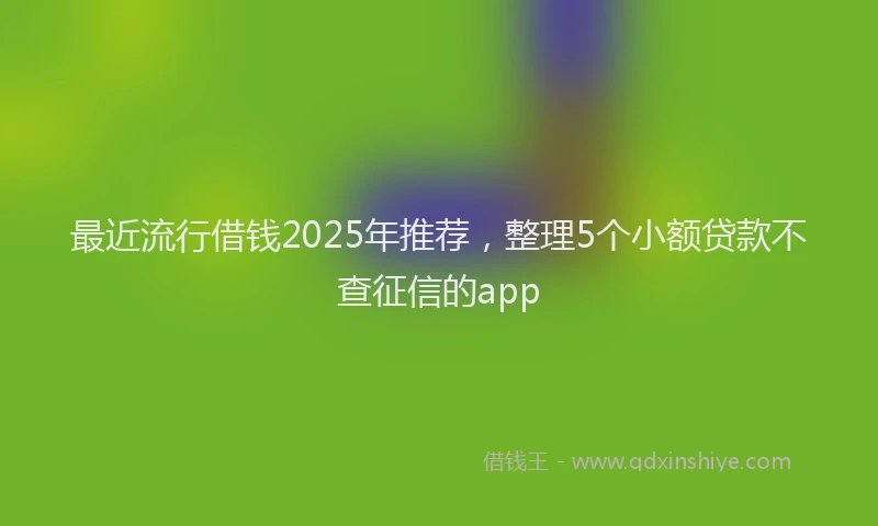 最近流行借钱2025年推荐，整理5个小额贷款不查征信的app