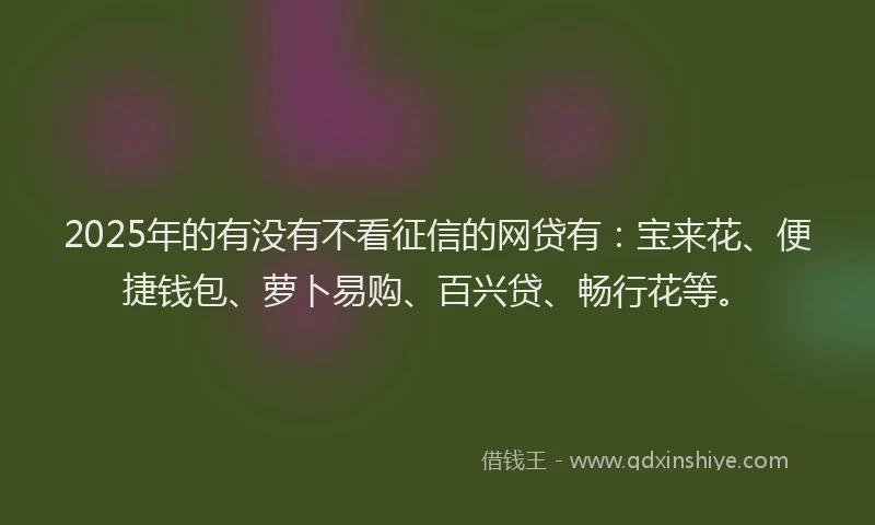 2025年的有没有不看征信的网贷有：宝来花、便捷钱包、萝卜易购、百兴贷、畅行花等。