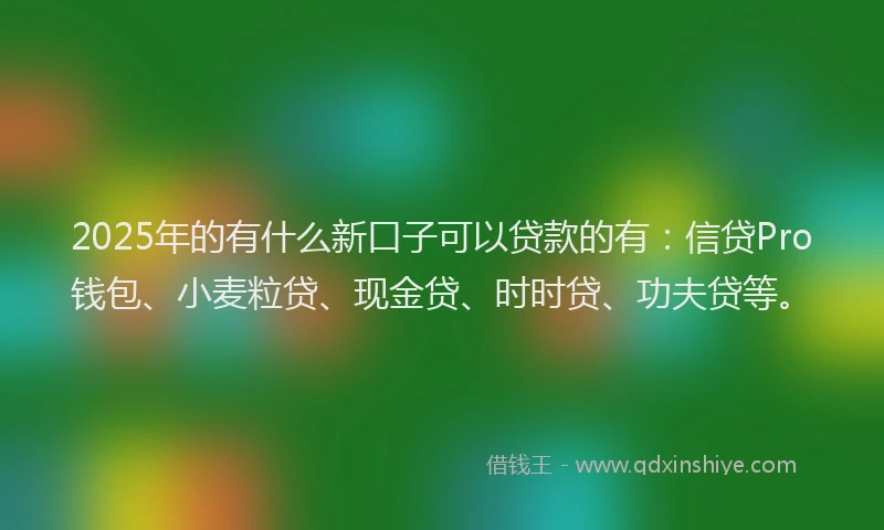 2025年的有什么新口子可以贷款的有：信贷Pro钱包、小麦粒贷、现金贷、时时贷、功夫贷等。