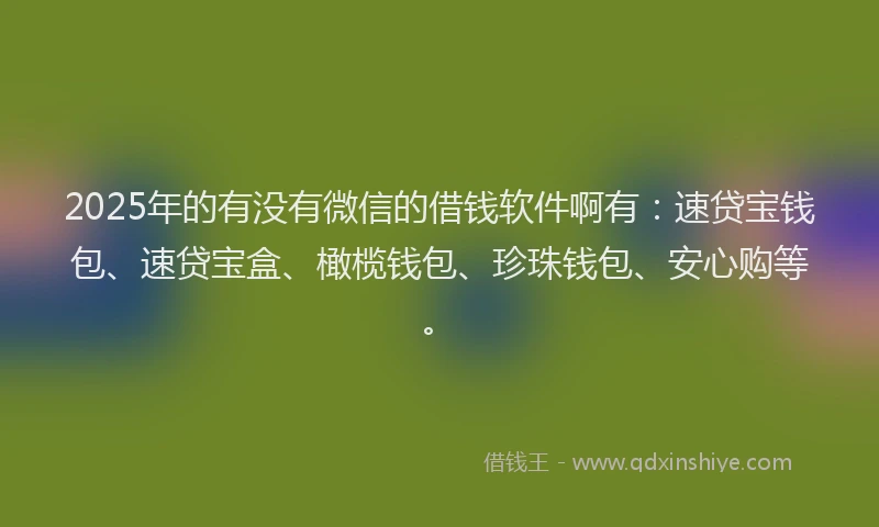 2025年的有没有微信的借钱软件啊有：速贷宝钱包、速贷宝盒、橄榄钱包、珍珠钱包、安心购等。