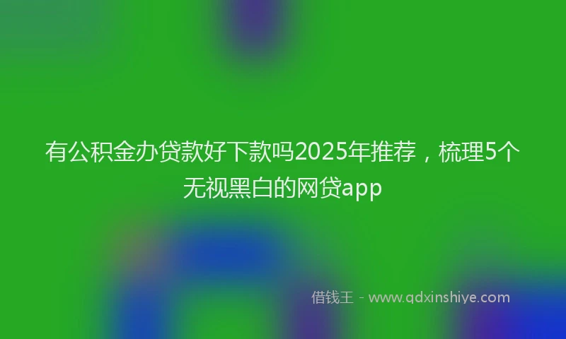 有公积金办贷款好下款吗2025年推荐，梳理5个无视黑白的网贷app