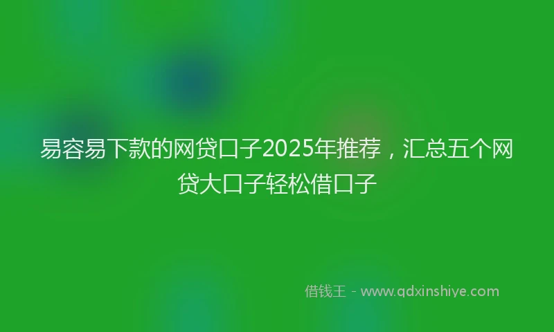 易容易下款的网贷口子2025年推荐，汇总五个网贷大口子轻松借口子