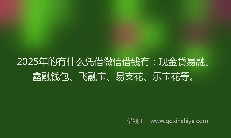 2025年的有什么凭借微信借钱有：现金贷易融、鑫融钱包、飞融宝、易支花、乐宝花等。