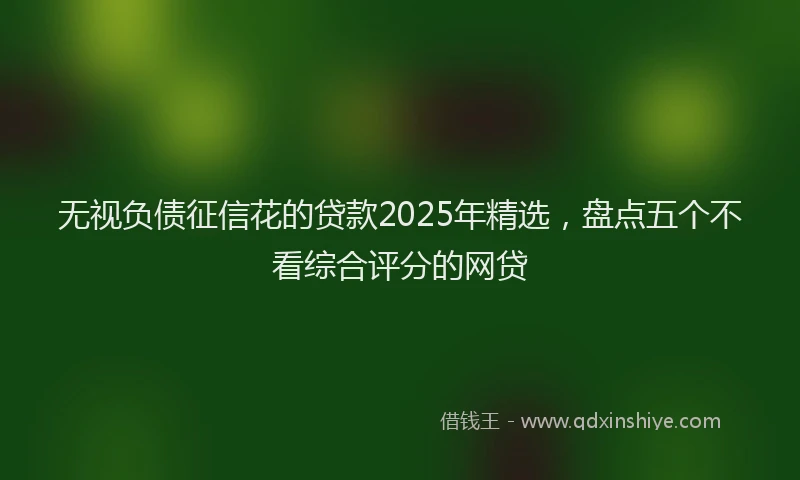 无视负债征信花的贷款2025年精选，盘点五个不看综合评分的网贷