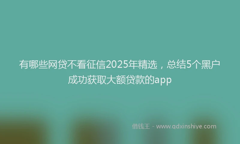 有哪些网贷不看征信2025年精选，总结5个黑户成功获取大额贷款的app