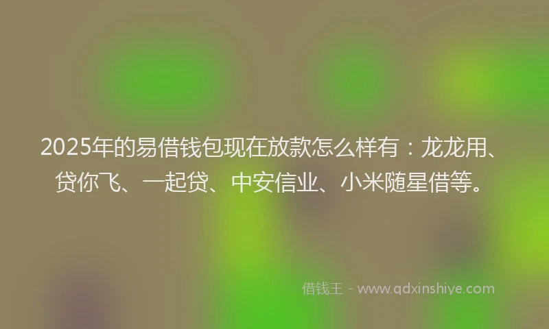 2025年的易借钱包现在放款怎么样有：龙龙用、贷你飞、一起贷、中安信业、小米随星借等。