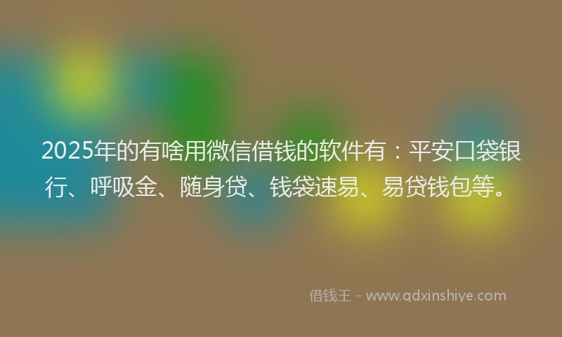 2025年的有啥用微信借钱的软件有：平安口袋银行、呼吸金、随身贷、钱袋速易、易贷钱包等。