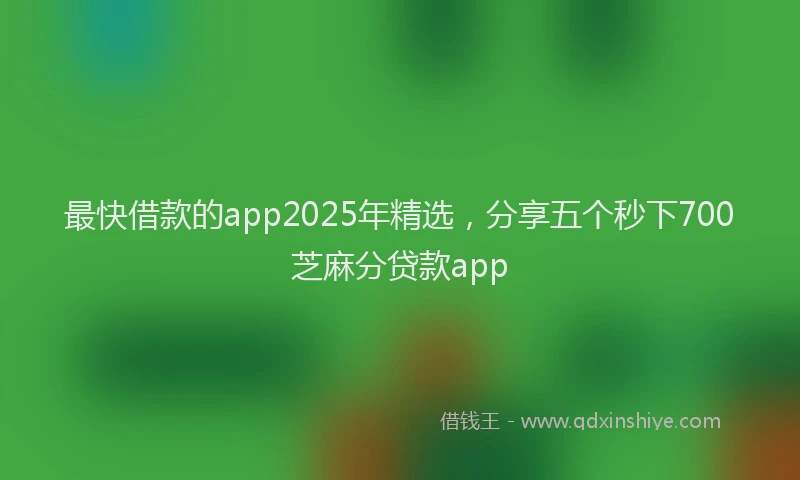 最快借款的app2025年精选，分享五个秒下700芝麻分贷款app