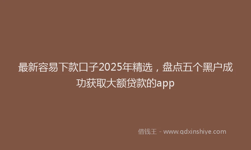 最新容易下款口子2025年精选，盘点五个黑户成功获取大额贷款的app