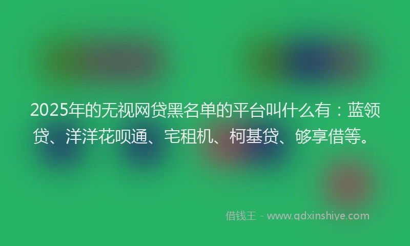 2025年的无视网贷黑名单的平台叫什么有：蓝领贷、洋洋花呗通、宅租机、柯基贷、够享借等。