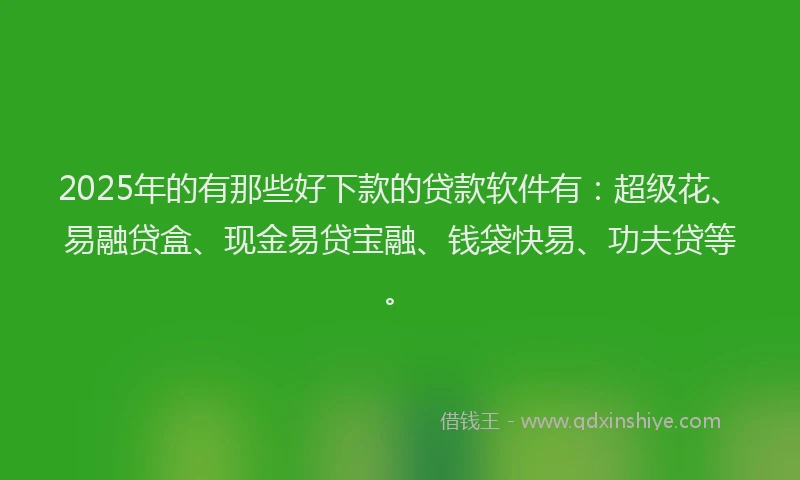 2025年的有那些好下款的贷款软件有：超级花、易融贷盒、现金易贷宝融、钱袋快易、功夫贷等。