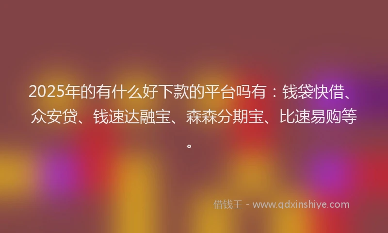 2025年的有什么好下款的平台吗有：钱袋快借、众安贷、钱速达融宝、森森分期宝、比速易购等。