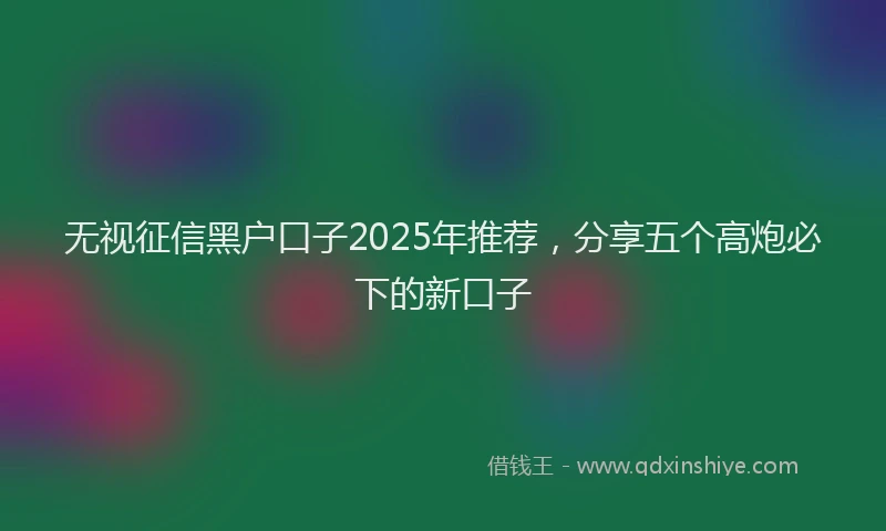 无视征信黑户口子2025年推荐，分享五个高炮必下的新口子