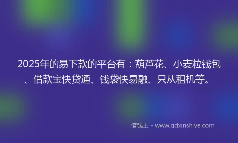 2025年的易下款的平台有：葫芦花、小麦粒钱包、借款宝快贷通、钱袋快易融、只从租机等。