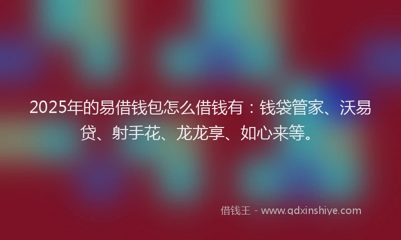 2025年的易借钱包怎么借钱有：钱袋管家、沃易贷、射手花、龙龙享、如心来等。
