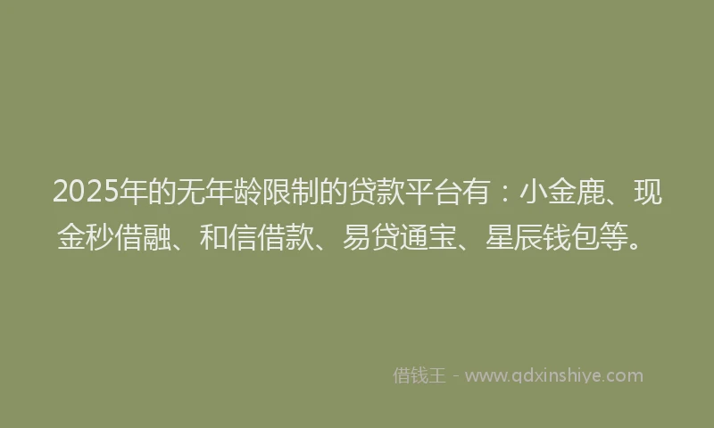 2025年的无年龄限制的贷款平台有：小金鹿、现金秒借融、和信借款、易贷通宝、星辰钱包等。