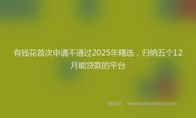 有钱花首次申请不通过2025年精选，归纳五个12月能贷款的平台