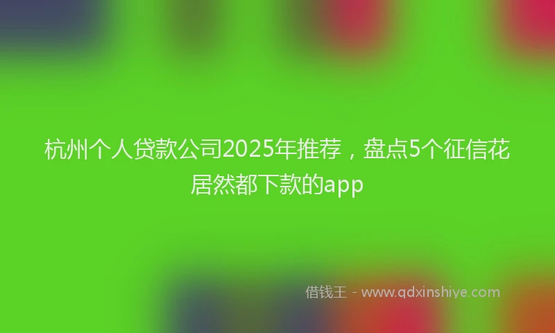 杭州个人贷款公司2025年推荐，盘点5个征信花居然都下款的app