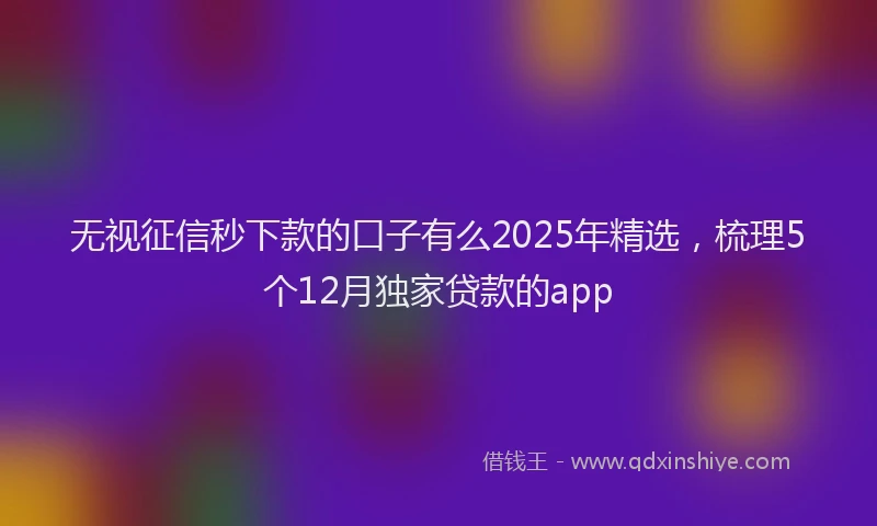 无视征信秒下款的口子有么2025年精选，梳理5个12月独家贷款的app
