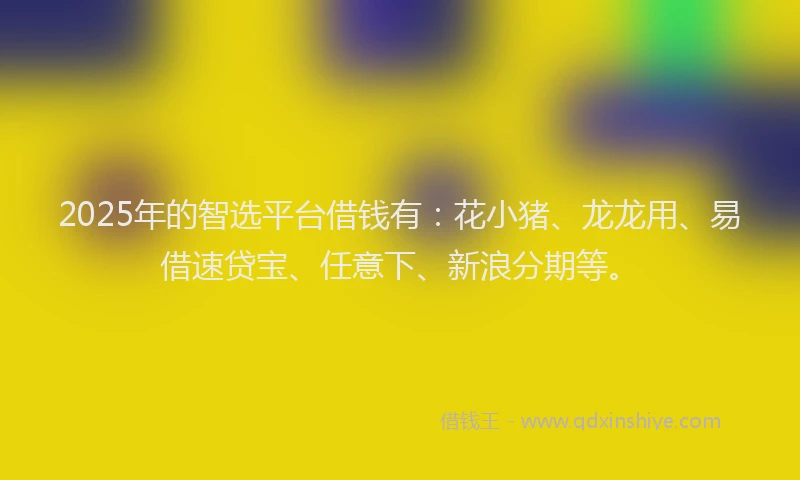 2025年的智选平台借钱有：花小猪、龙龙用、易借速贷宝、任意下、新浪分期等。