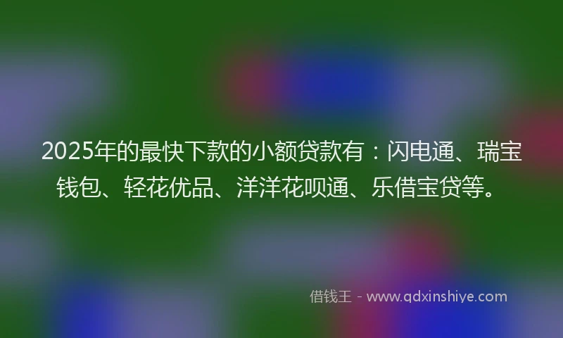 2025年的最快下款的小额贷款有：闪电通、瑞宝钱包、轻花优品、洋洋花呗通、乐借宝贷等。