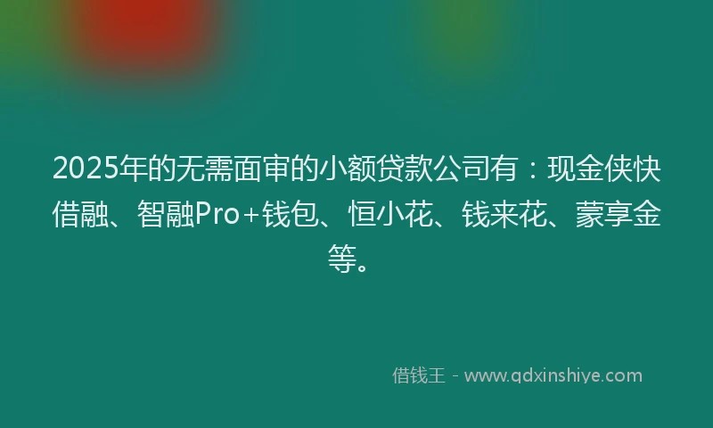 2025年的无需面审的小额贷款公司有：现金侠快借融、智融Pro+钱包、恒小花、钱来花、蒙享金等。