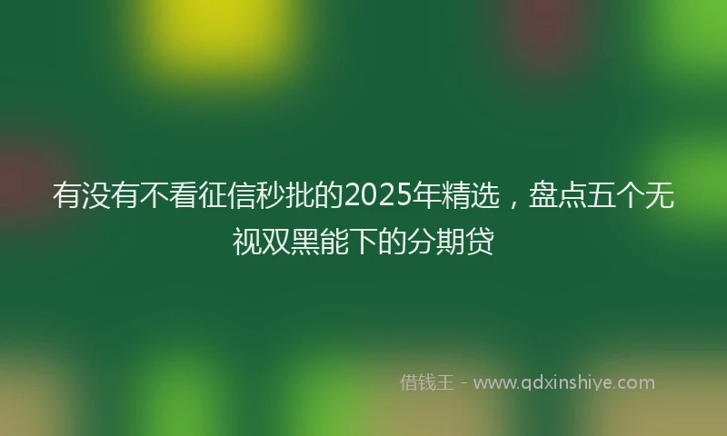 有没有不看征信秒批的2025年精选，盘点五个无视双黑能下的分期贷