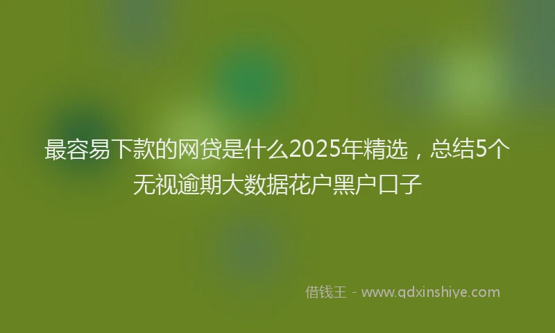 最容易下款的网贷是什么2025年精选，总结5个无视逾期大数据花户黑户口子