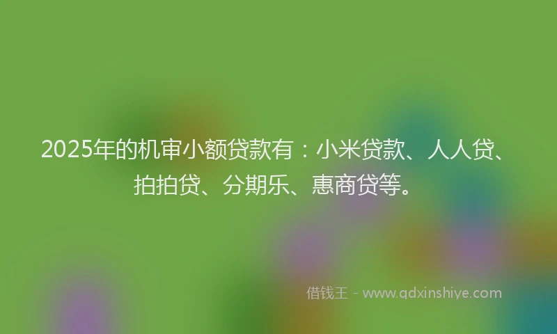 2025年的机审小额贷款有：小米贷款、人人贷、拍拍贷、分期乐、惠商贷等。