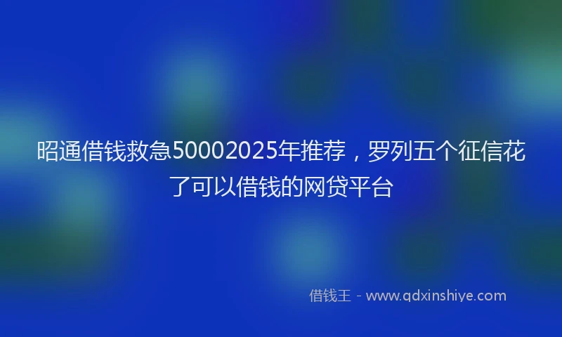 昭通借钱救急50002025年推荐，罗列五个征信花了可以借钱的网贷平台
