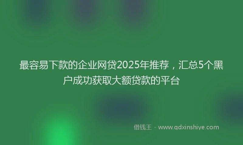 最容易下款的企业网贷2025年推荐，汇总5个黑户成功获取大额贷款的平台