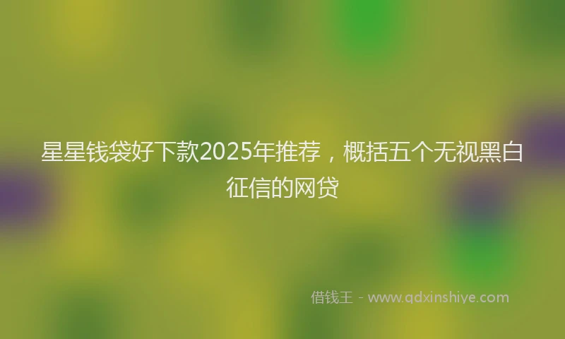 星星钱袋好下款2025年推荐，概括五个无视黑白征信的网贷
