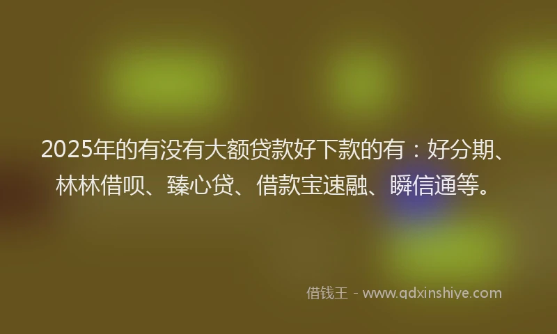2025年的有没有大额贷款好下款的有：好分期、林林借呗、臻心贷、借款宝速融、瞬信通等。