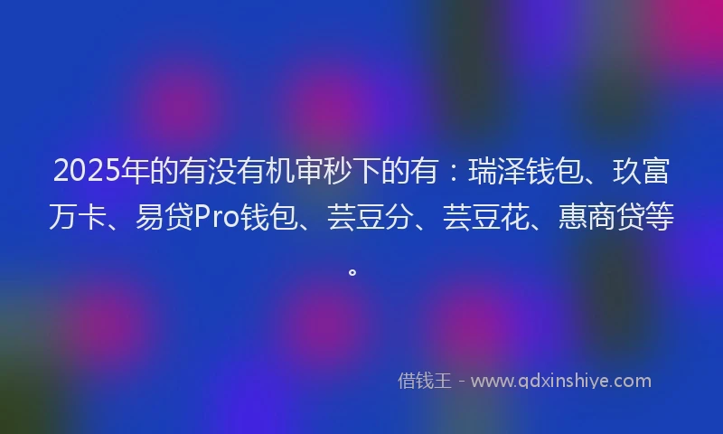 2025年的有没有机审秒下的有：瑞泽钱包、玖富万卡、易贷Pro钱包、芸豆分、芸豆花、惠商贷等。