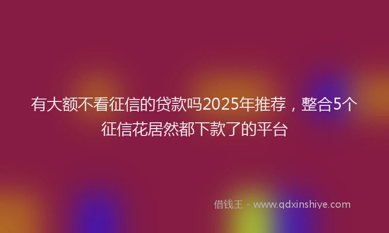 有大额不看征信的贷款吗2025年推荐，整合5个征信花居然都下款了的平台