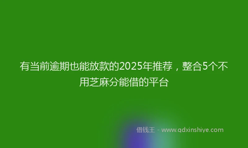 有当前逾期也能放款的2025年推荐，整合5个不用芝麻分能借的平台