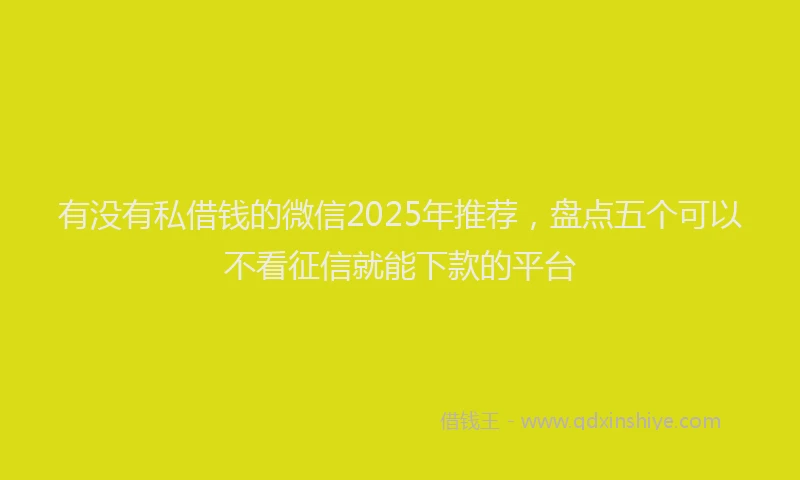 有没有私借钱的微信2025年推荐，盘点五个可以不看征信就能下款的平台
