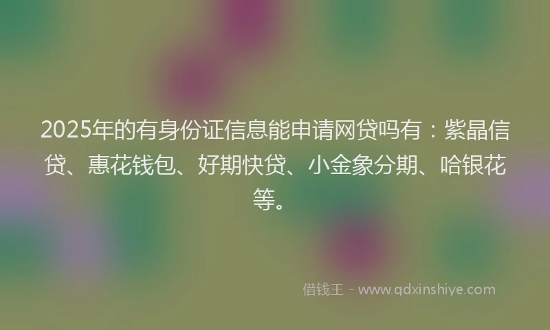 2025年的有身份证信息能申请网贷吗有：紫晶信贷、惠花钱包、好期快贷、小金象分期、哈银花等。