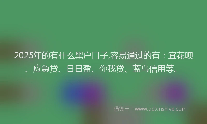 2025年的有什么黑户口子,容易通过的有：宜花呗、应急贷、日日盈、你我贷、蓝鸟信用等。