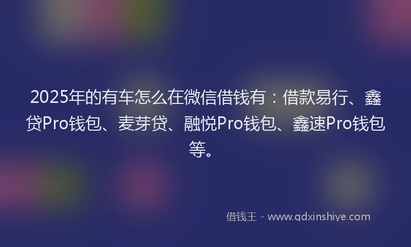 2025年的有车怎么在微信借钱有：借款易行、鑫贷Pro钱包、麦芽贷、融悦Pro钱包、鑫速Pro钱包等。