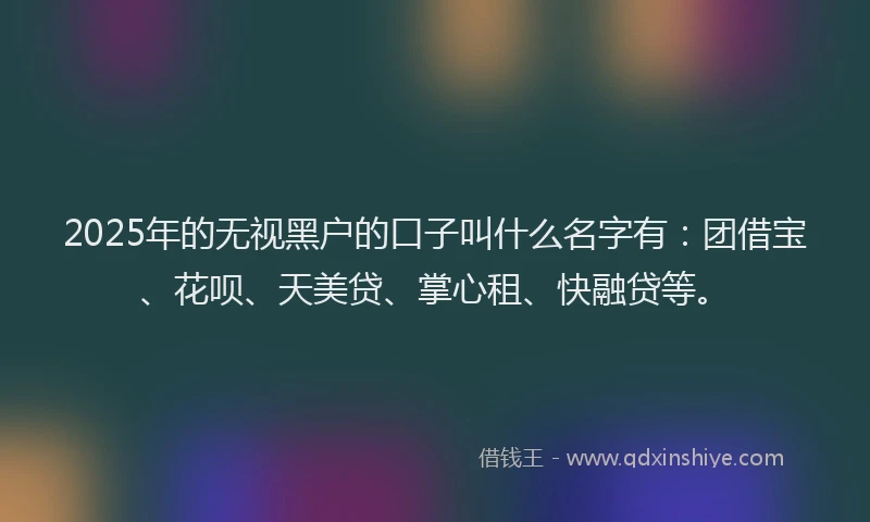 2025年的无视黑户的口子叫什么名字有：团借宝、花呗、天美贷、掌心租、快融贷等。