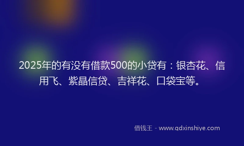 2025年的有没有借款500的小贷有：银杏花、信用飞、紫晶信贷、吉祥花、口袋宝等。