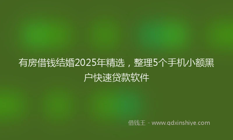 有房借钱结婚2025年精选，整理5个手机小额黑户快速贷款软件