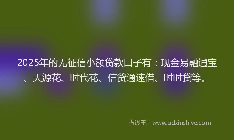 2025年的无征信小额贷款口子有：现金易融通宝、天源花、时代花、信贷通速借、时时贷等。