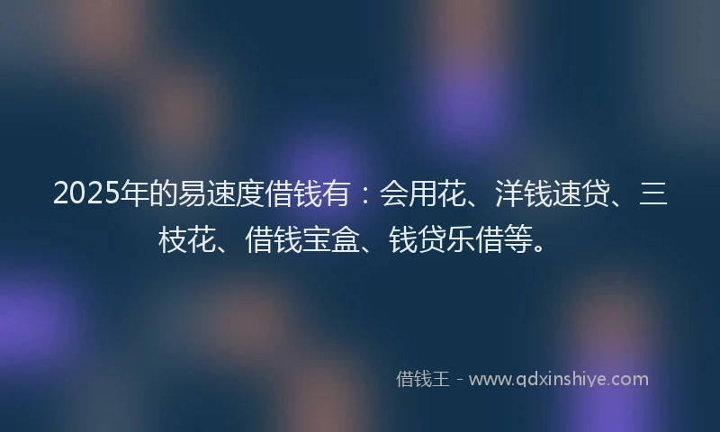 2025年的易速度借钱有：会用花、洋钱速贷、三枝花、借钱宝盒、钱贷乐借等。