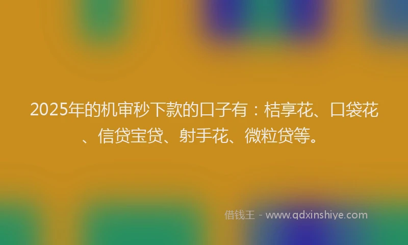 2025年的机审秒下款的口子有：桔享花、口袋花、信贷宝贷、射手花、微粒贷等。